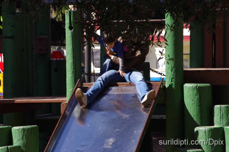 IMGP0111.JPG - Nope, back to playing! How cute!